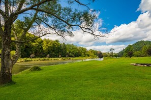 Loads of greenspace ...