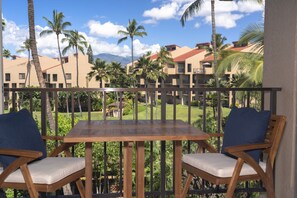 view from lanai over the complex grounds