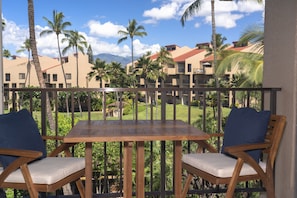 view from lanai over the complex grounds