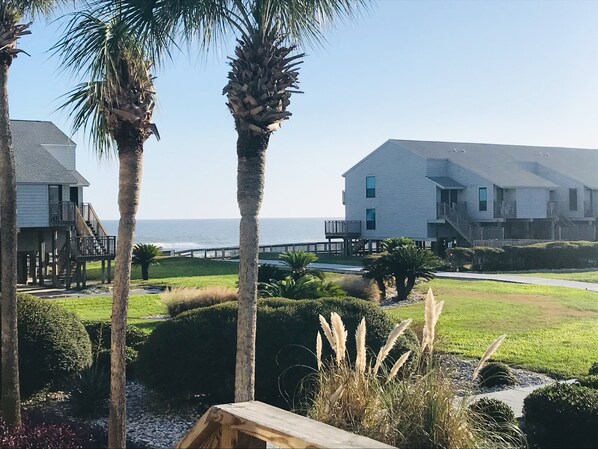 View from Deck