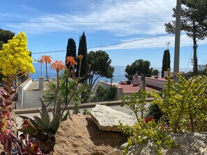 Nuage, Plante, Ciel, Fleur, Communauté Des Plantes, Bâtiment, Arbre, Roue, Biome, Maison