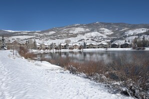 View of north pond from the backyard.