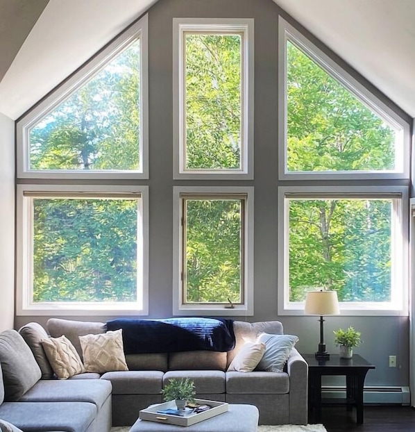 Beautiful, sun drenched windows in the living room!