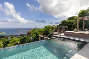 Piscine à débordement offrant une magnifique vue  