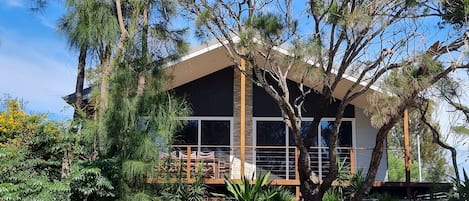 North facing modern beach house