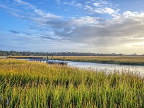 Spectacular marsh view