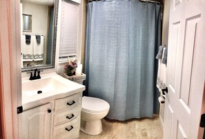 Master bathroom 