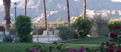 Mountain/Pool view from house