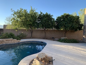 Pool and Fruit trees