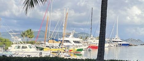 View of marina from front porch