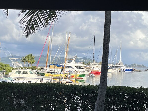 View of marina from front porch