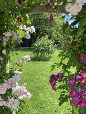 View through the archway outside The Nook 
particularly beautiful in June 