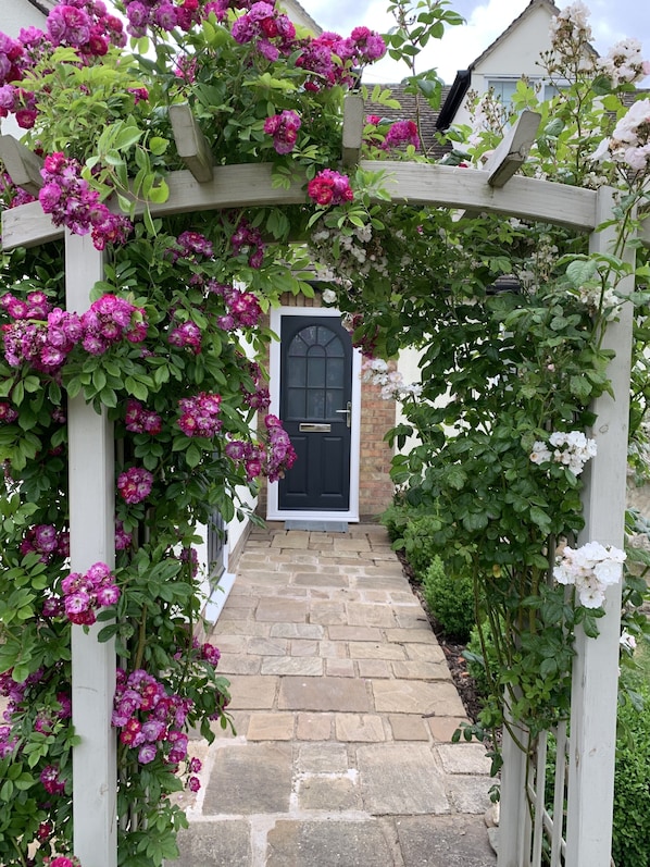 Welcome to The Nook 
Your summer view, relax and smell the roses 