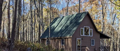 Cabin for relaxing or visiting all the things Deep Creek has to offer. 