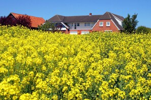 Udendørsområde