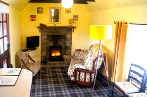 living area and wood stove