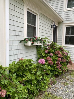 Exterior detail