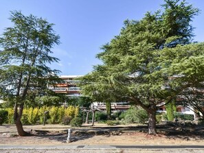 Boom, Witte Den, Woody Plant, Fabriek, Plantkunde, Red Pine, Lodgepolepijnboom, Pine Family, American Larch, Huis