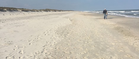 Best beach ever.  Wide with room to spread out! 