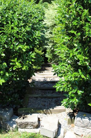 Stair access to Greenway Trail next to the house. 