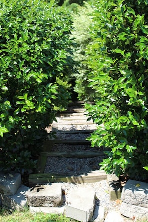 Stair access to Greenway Trail next to the house. 