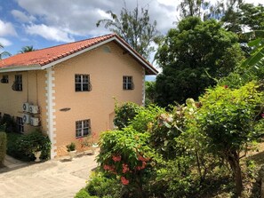 Pride of Courland Tobago Back View 