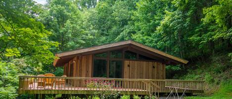 Welcome to Black Dog Cabin, sitting on almost 13 private, wooded acres, perfect for hiking or total solitude!