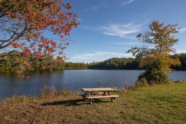 Lago