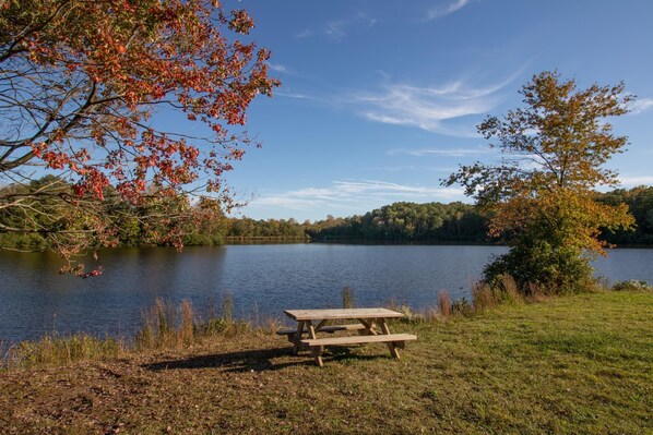 Lake