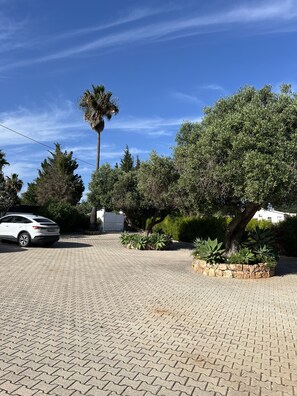 Car Parking
