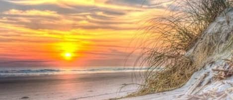Hampton Beach!!