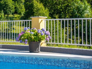 Flower, Plant, Water, Property, Window, Green, Flowerpot, Botany, Fence, Rectangle