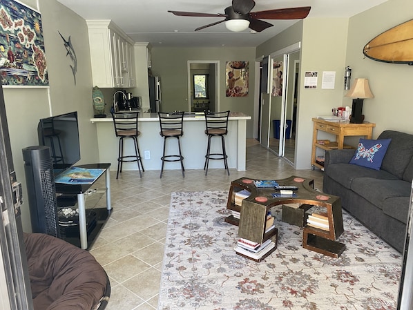 Living room and kitchen