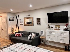 Our 55 in TV and Queen Sofa Bed