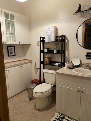 Guest bathroom