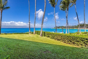 picture perfect lanai views - your view from your private ground floor lanai