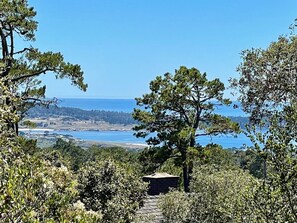 View of Point Lobos from the Hot Tub and Master Bed!