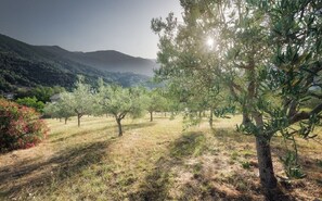 Overnattingsstedets uteområder