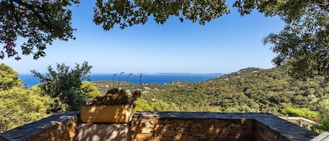 Cielo, Planta, Mueble, Planta De La Comunidad, Mesa, Paisaje Natural, Silla, El Terreno Del Lote, Mueble Para Exteriores, Árbol