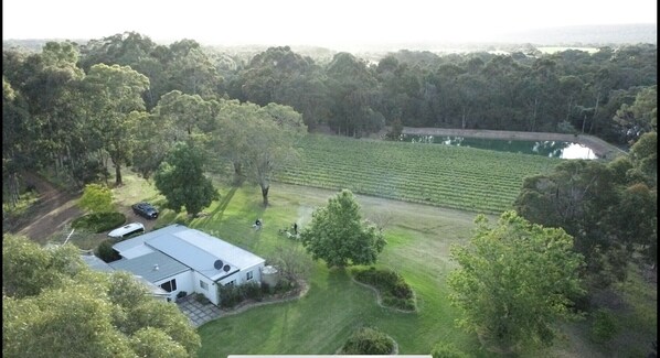 Winery/tourism