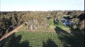 37acres of freedom