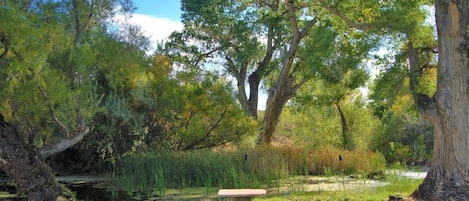 Jardines del alojamiento