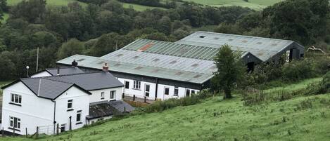 Lingerlonger at Ty Cerrig Farm