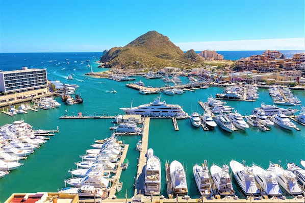 Amazing view to the marina from the condo.