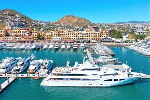 In the heart of the marina 