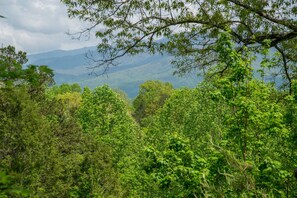 View from rear deck