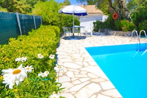 Display of Pretty Dasies at the Private Pool Area