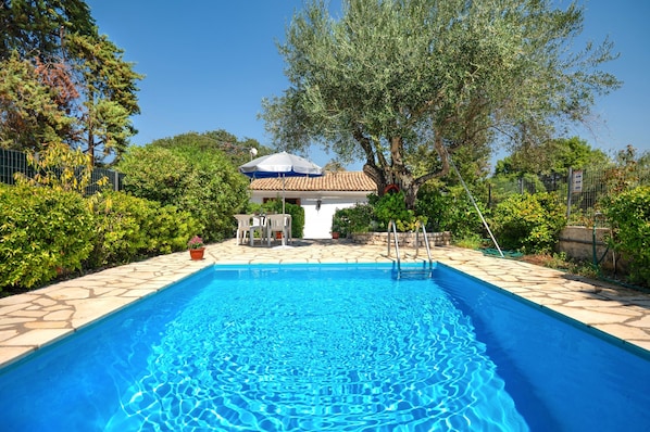 The pool %26amp%3B patio under the morning Sun
