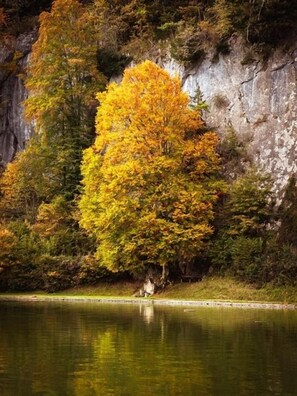 Oklassificerad bild, 5 av 7, knapp