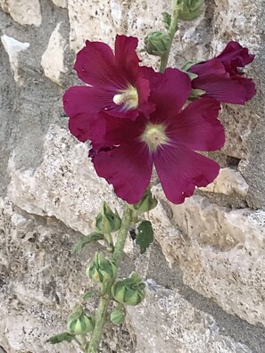 Außendetails